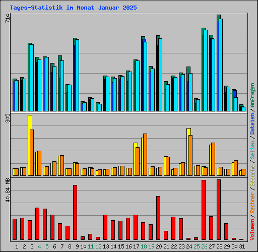 Tages-Statistik im Monat Januar 2025