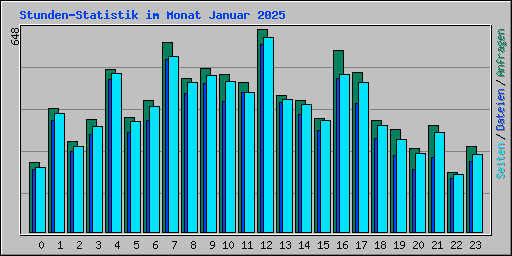 Stunden-Statistik im Monat Januar 2025