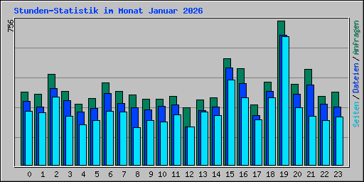 Stunden-Statistik im Monat Januar 2026